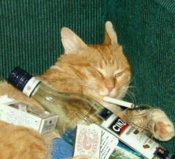 Kitty with a ciggie